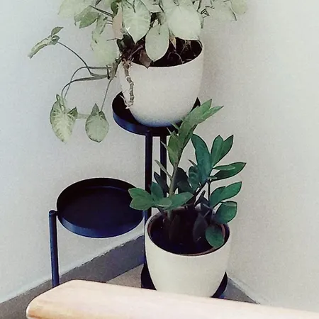 Marija Apartman